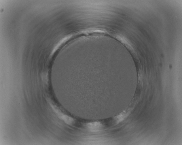 X0000065260112200602242125