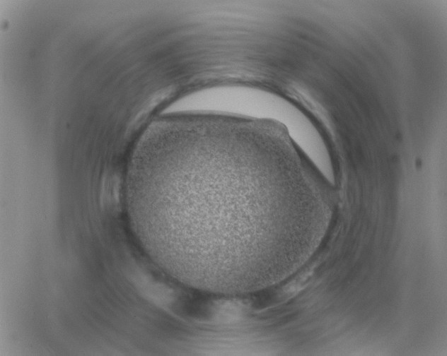 X0000065260115200602242124