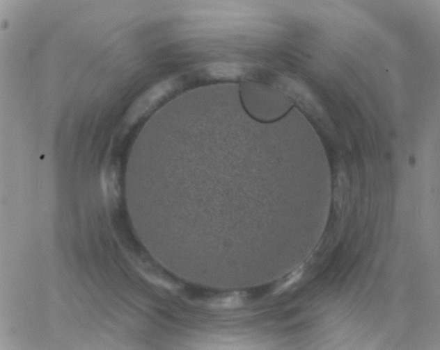 X0000065260116200602242124