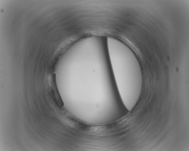 X0000065260117200602242124