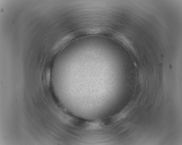 X0000065260118200602242124