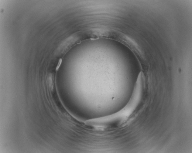 X0000065260121200602242124