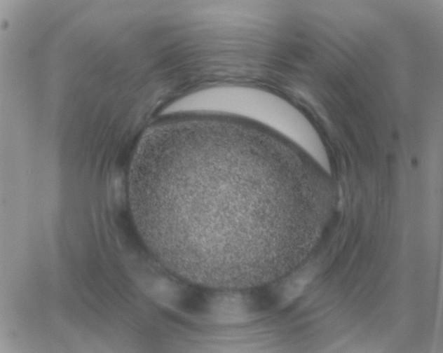 X0000065260123200602242124