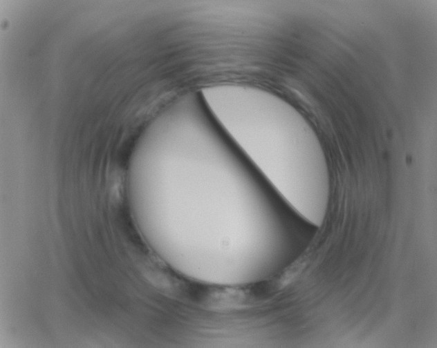 X0000065260125200602242124