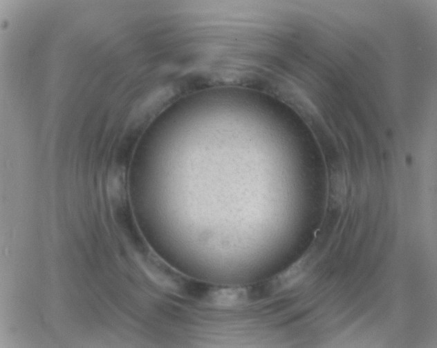 X0000065260126200602242124