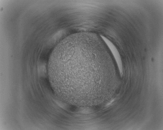 X0000065260127200602242124