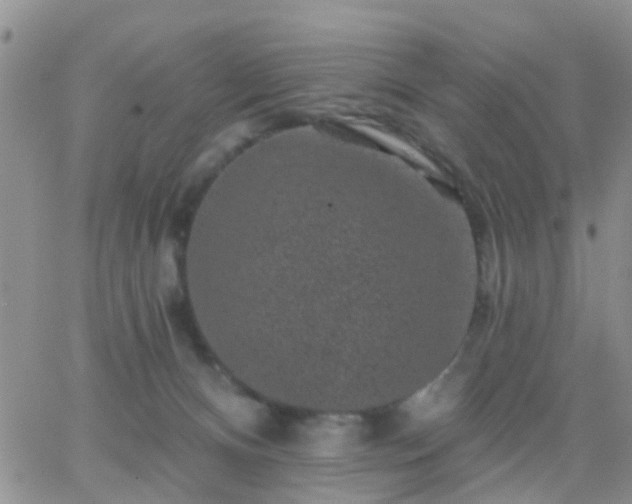 X0000065260128200602242124