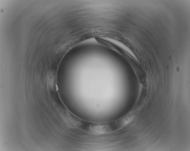 X0000065260129200602242124