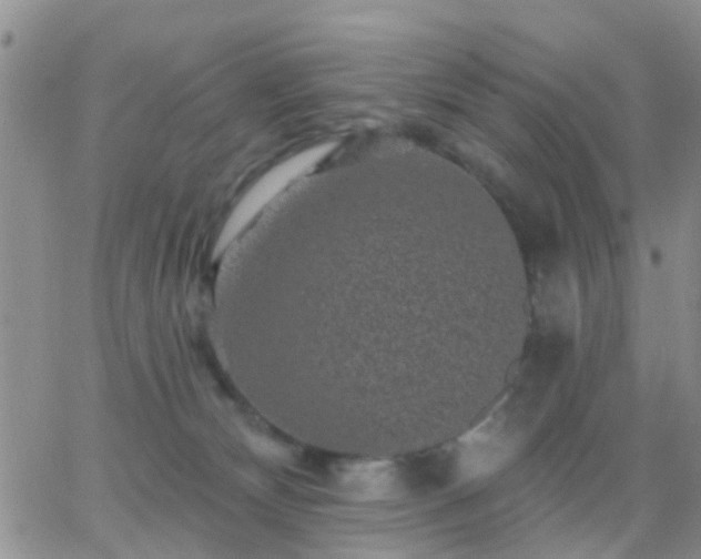 X0000065260132200602242124