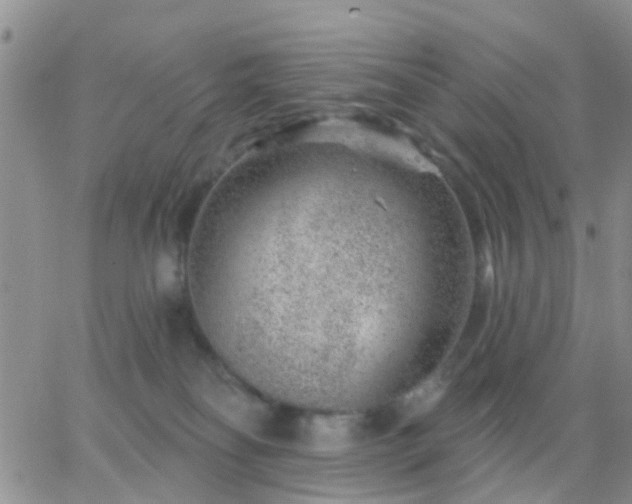 X0000065260134200602242124