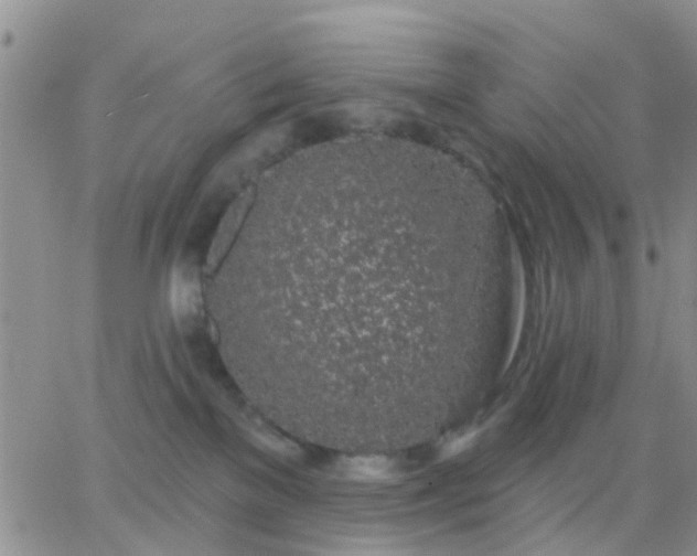 X0000065260137200602242124