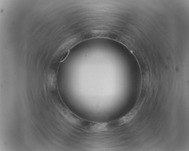 X0000065260138200602242124