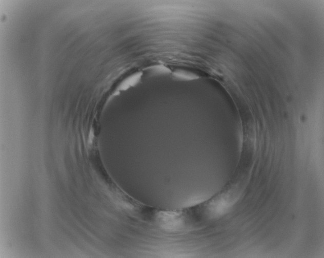 X0000065260139200602242124