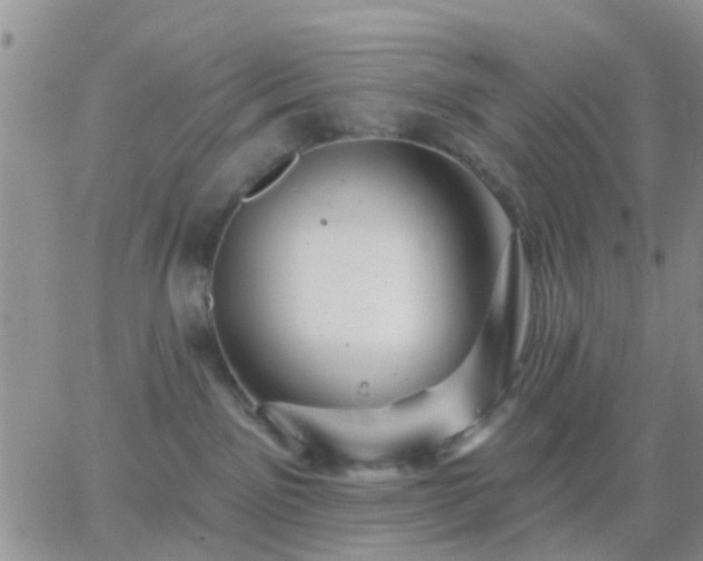 X0000065260141200602242124