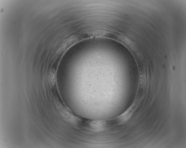 X0000065260142200602242124