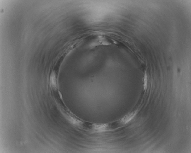 X0000065260143200602242124