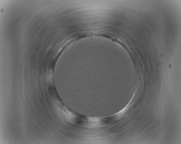 X0000065260144200602242124