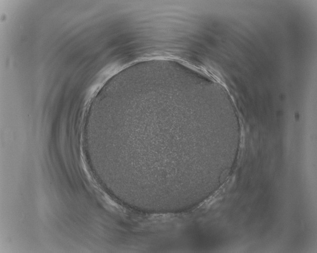 X0000065260145200602242123