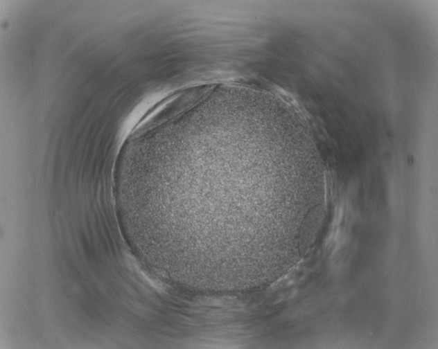 X0000065260147200602242123