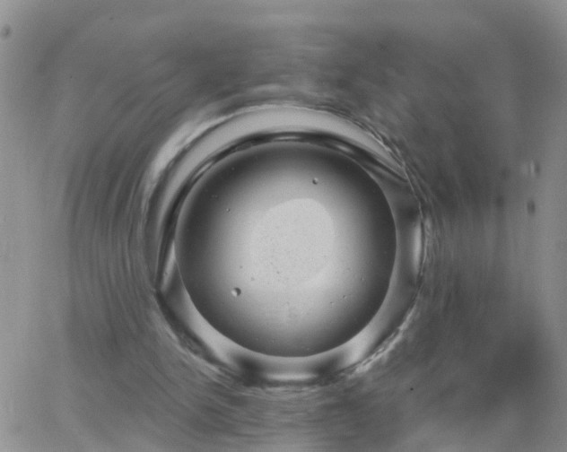 X0000065260150200602242123