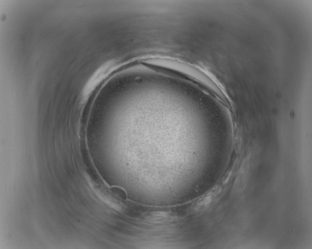 X0000065260151200602242123