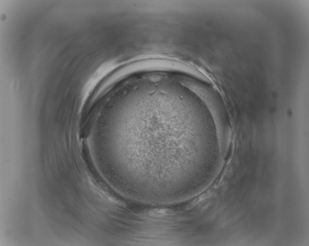 X0000065260152200602242123