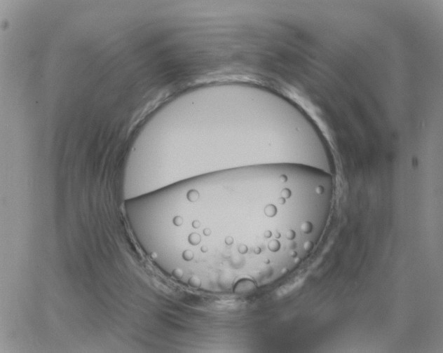 X0000065260153200602242123