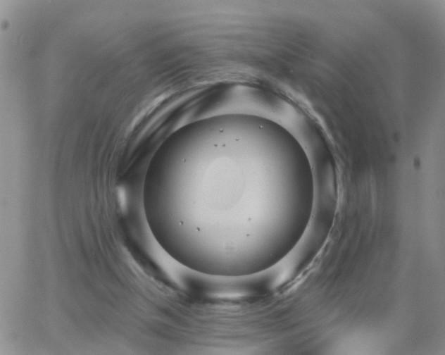 X0000065260154200602242123