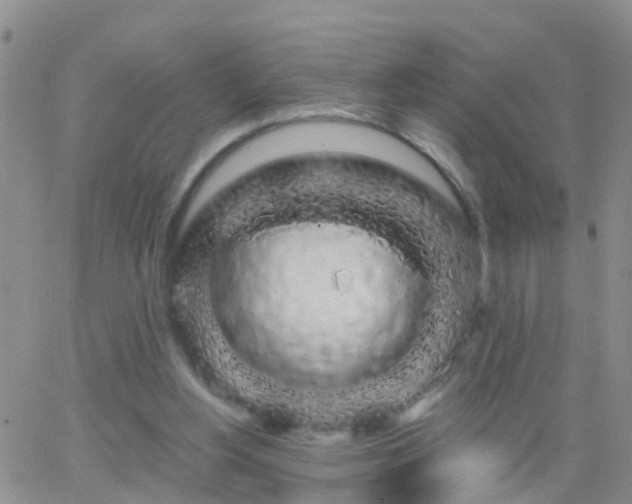 X0000065260156200602242123