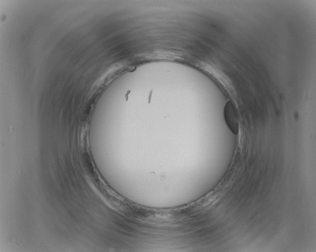 X0000065260157200602242123