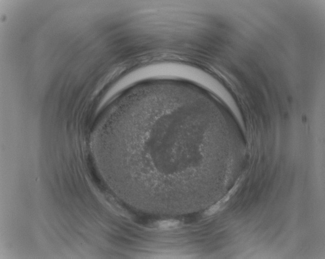 X0000065260158200602242123