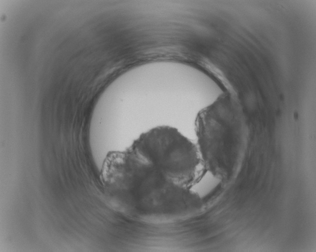 X0000065260161200602242123