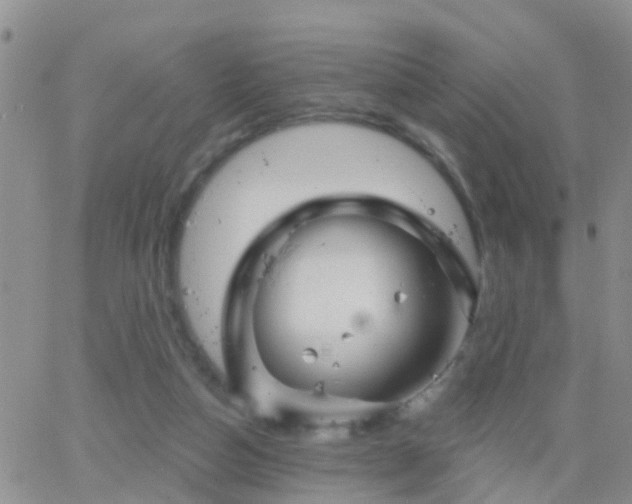 X0000065260162200602242123