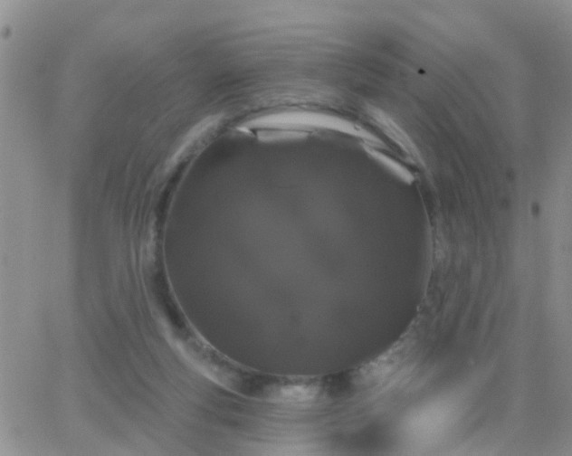 X0000065260163200602242124