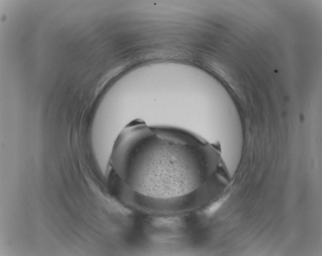 X0000065260164200602242124