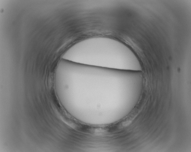 X0000065260165200602242124