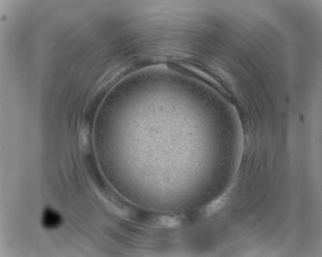 X0000065260166200602242124