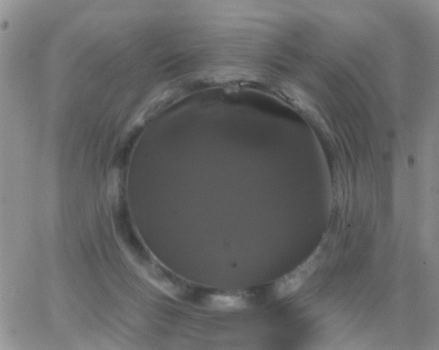 X0000065260167200602242124