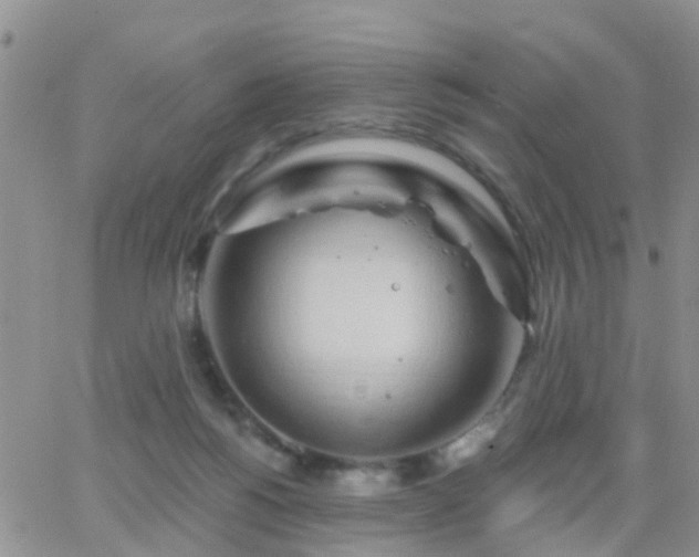 X0000065260168200602242124