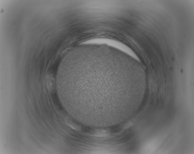 X0000065260169200602242124