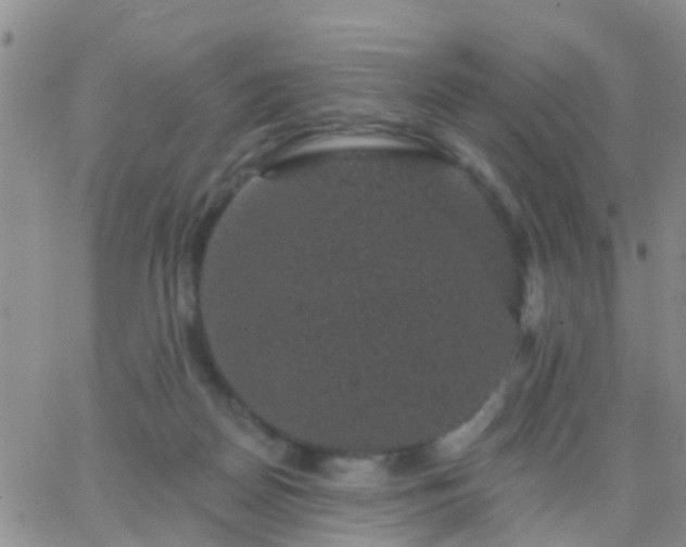 X0000065260170200602242124