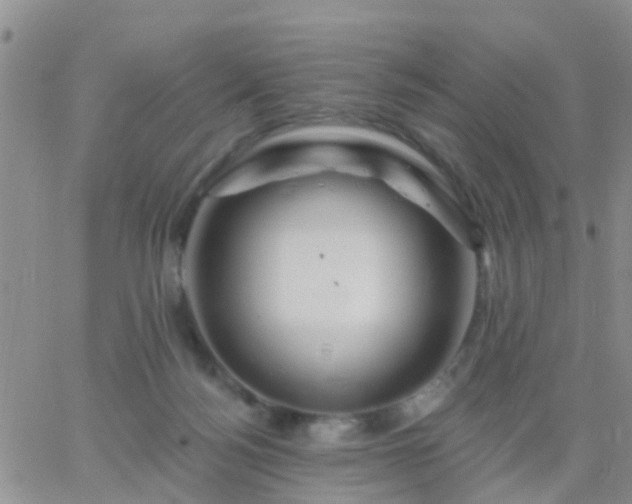 X0000065260172200602242124