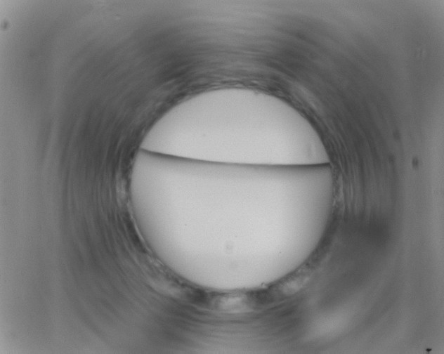 X0000065260173200602242124