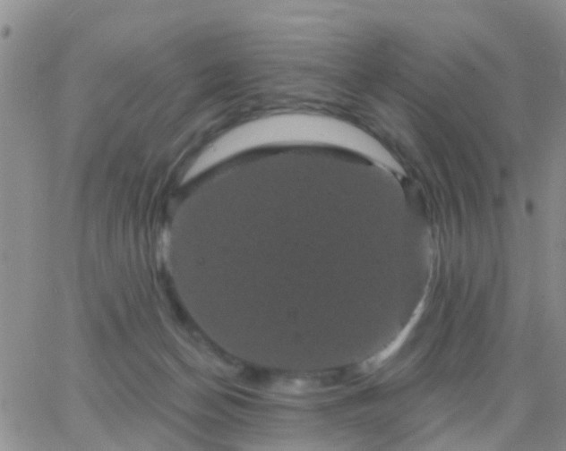 X0000065260174200602242124