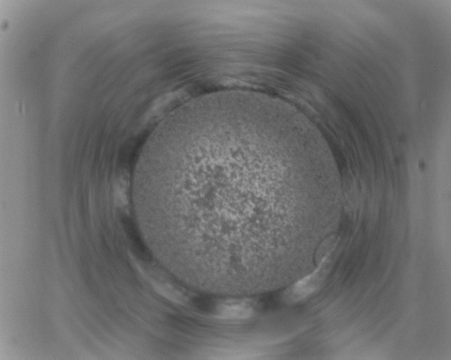 X0000065260175200602242124