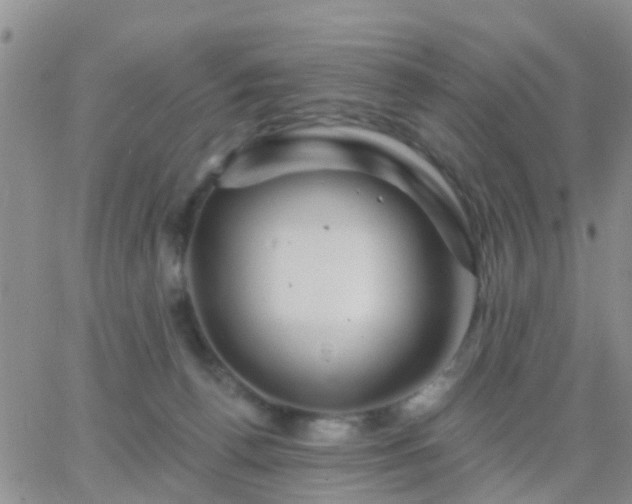 X0000065260176200602242124