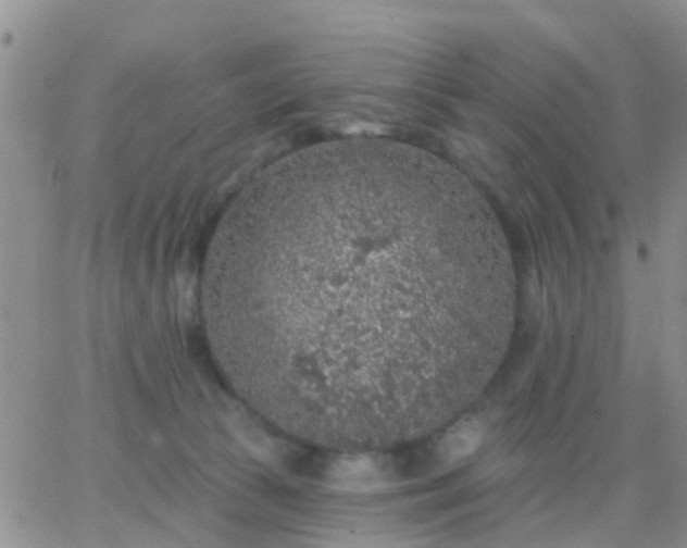 X0000065260177200602242124