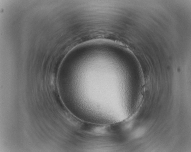 X0000065260178200602242124