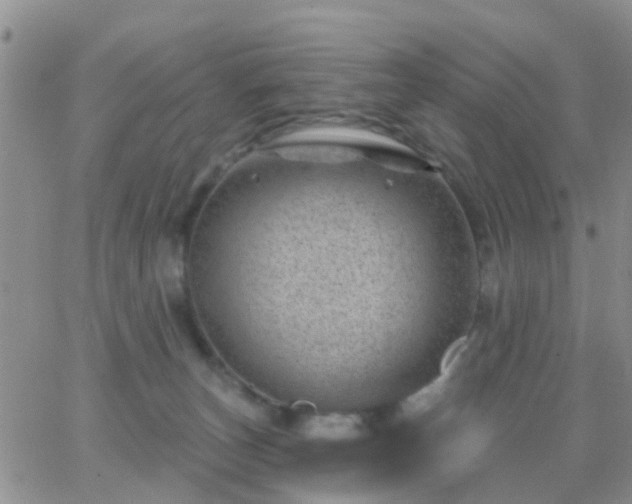 X0000065260179200602242124