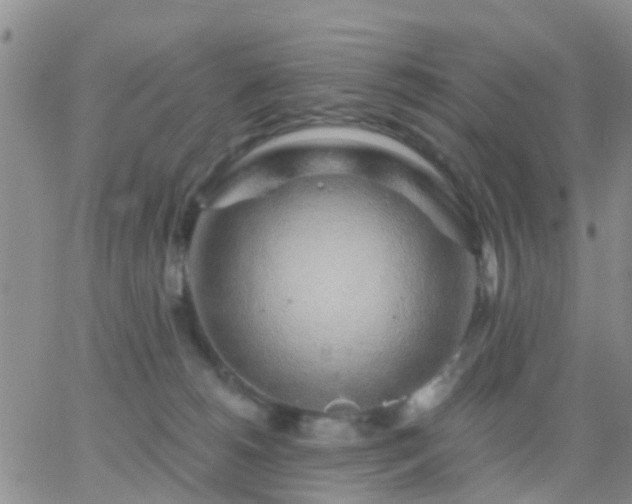 X0000065260180200602242124